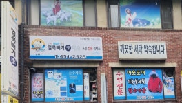 얼룩빼기이박사