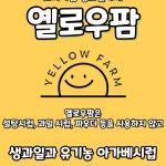 옐로우팜 경주점