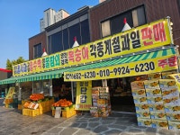 시온청과