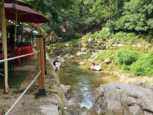 삼천집