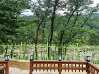 양양들꽃내음펜션