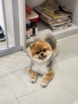 몽몽쓰