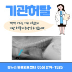 온누리동물의료센터