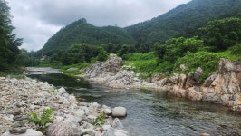 양양들꽃내음펜션