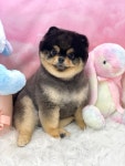 몽실묭실