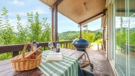 보니따 애견동반 펜션