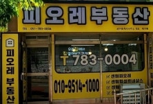 피오레부동산중개