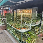 타니의다육공방