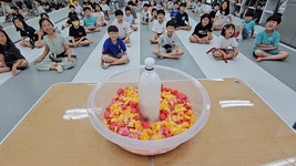 경희대한율태권도