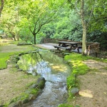 자연과하루치유농장