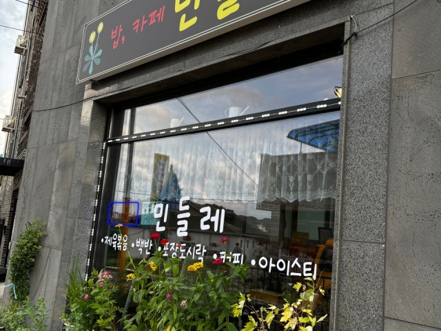 민들레