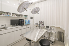 그레이동물병원 강남점