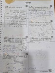 인싸이트 수학