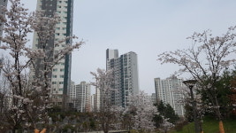 토토공인중개사사무소