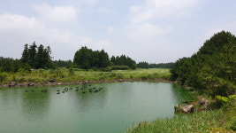 사이프러스 골프앤리조트