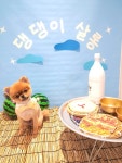 댕댕이살롱