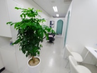 근골명가