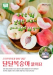 에코한마음 운암점