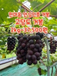 에코한마음 운암점