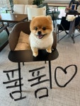 페리토