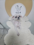 이루네 살롱