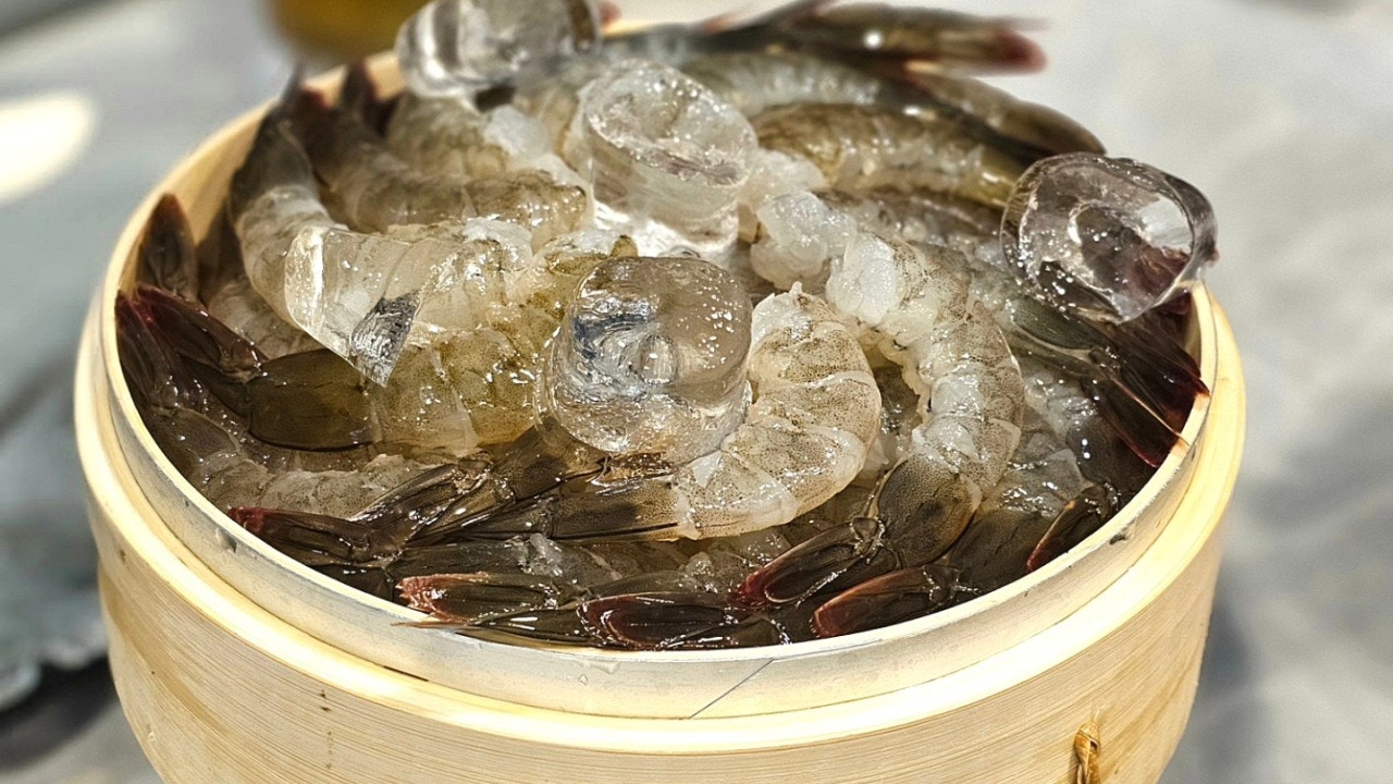 해물사냥꾼