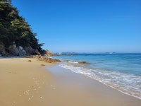 호도해변원룸민박