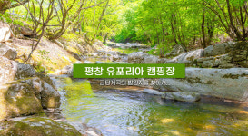 유포리아캠핑장