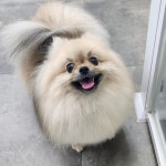 우리몽