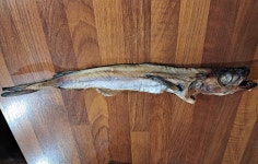 전진명태주막