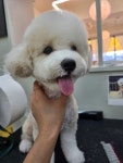 제이그루밍