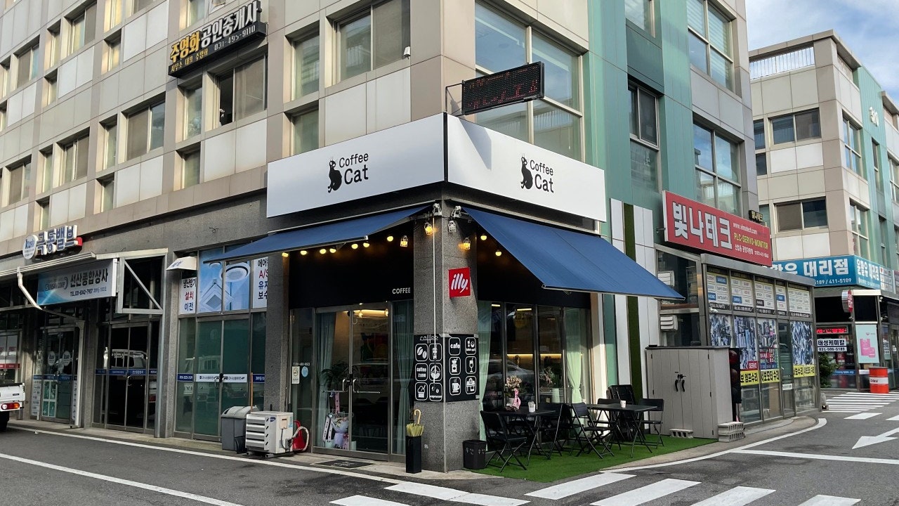 커피캣