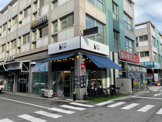 커피캣