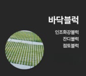 예스텍