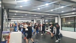 한국체대복싱