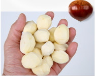 공주밤식품영농조합법인