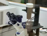 연세아이미스템의원