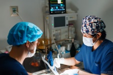 24시 강서 젠틀리동물의료센터