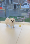 뚜뚜멍멍