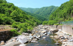 맑은하늘펜션