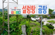 정자나루