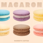 매머드익스프레스 SKn테크노파크테크동점