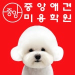 중앙애견미용학원 면목점
