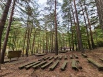 어성전 유아숲체험원