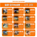 오렌지골프존아카데미 일산점