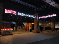 비체싸인