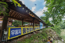 우둠지풍천장어