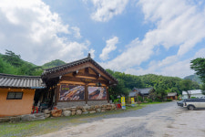 우둠지풍천장어