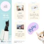 신사숙묘
