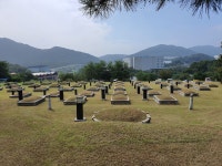 수 조경 벌초
